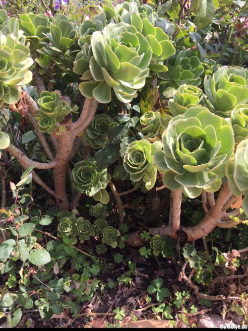 ÍøÃñÖ¸ÔðÂ޽ܡ¤ºÕ¶ûĬÑÝÒï