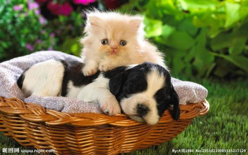 2025й·гüɽɽվѿǧẽ