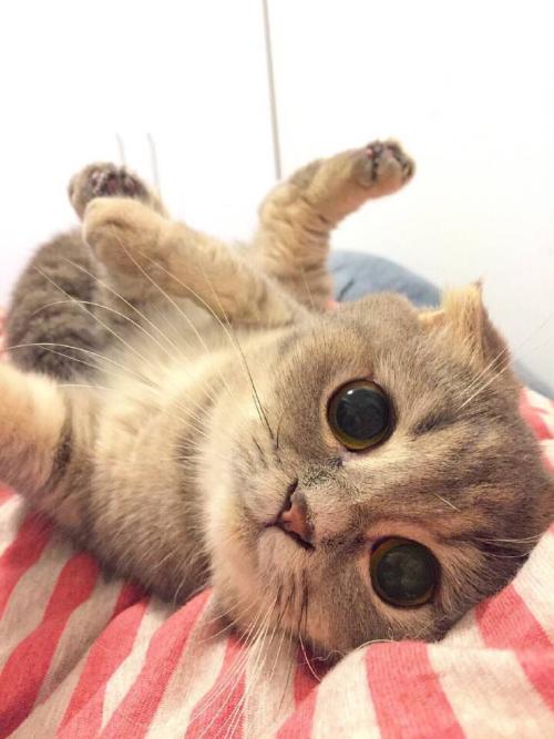 ֱΪʯҵ 㶫Ļᡰ˷硱ת