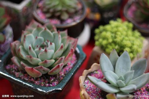 外资“抢筹”A股市场 重点布局两大行业