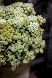 Ò»ËÒ¶íÂÞË¹Óæ´¬ÔÚ°ÍÂ×Ö§º£Óò³ÁûÔì³É17ÈËʧ×Ù