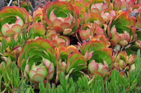 Íô¼Ìºêµ±Ñ¡ÙñÖÝÊÐÊг¤