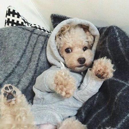 两名伊朗军事顾问在以色列对叙利亚的空袭中身亡