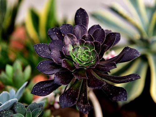 Òø±£¼à»á£º¾¯Ìè¹ý¶È½è´ûÓªÏú±³ºóÒþ²Ø·çÏÕ»òÏÝÚå